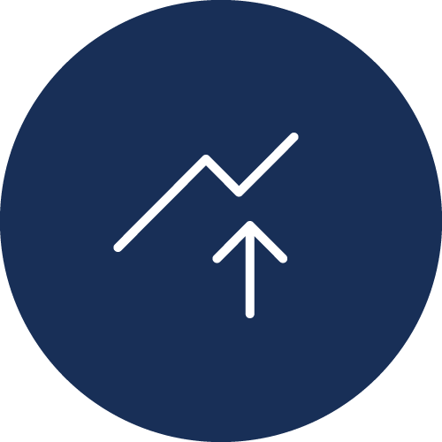 Risk control icon